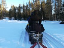 В дороге