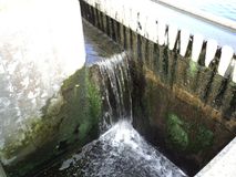 Treated water discharged from STP in Sortavala